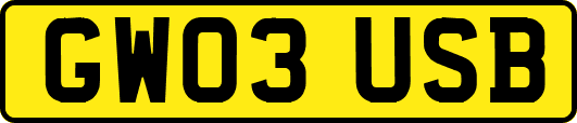 GW03USB