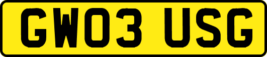 GW03USG