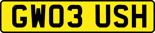 GW03USH