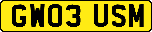 GW03USM