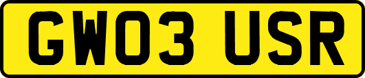 GW03USR