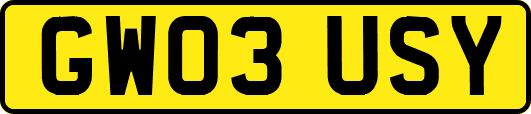 GW03USY