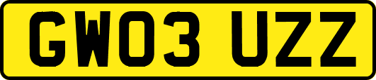 GW03UZZ