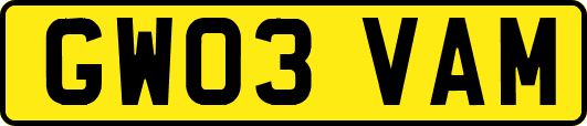 GW03VAM