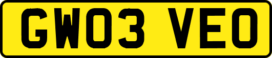 GW03VEO