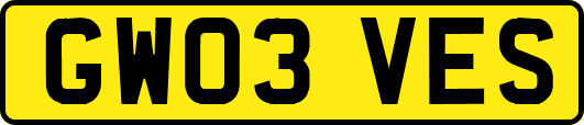 GW03VES