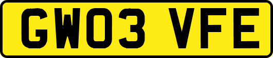 GW03VFE