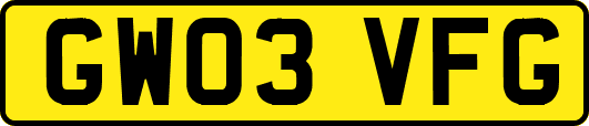 GW03VFG