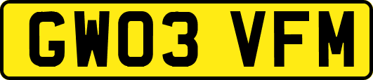 GW03VFM