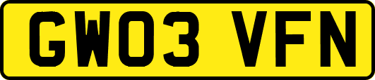 GW03VFN