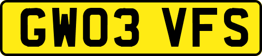 GW03VFS