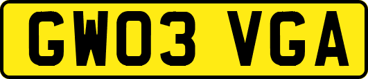 GW03VGA