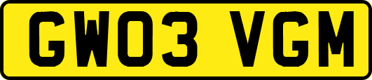 GW03VGM