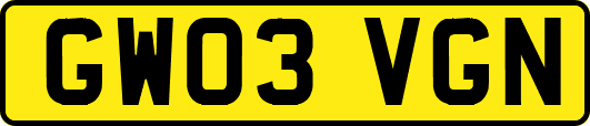 GW03VGN