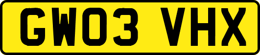 GW03VHX