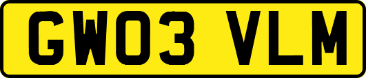 GW03VLM
