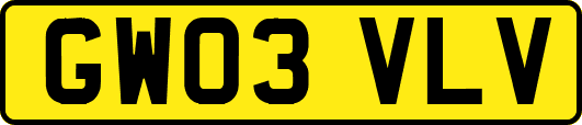 GW03VLV