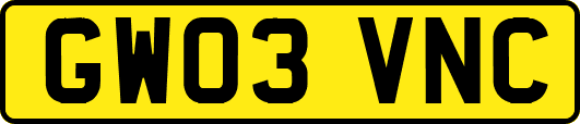 GW03VNC