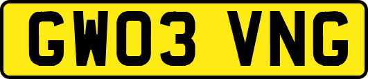 GW03VNG