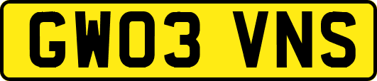 GW03VNS