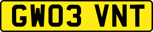 GW03VNT