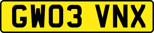 GW03VNX