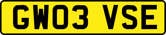 GW03VSE