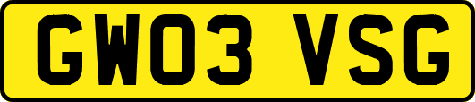 GW03VSG
