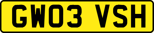 GW03VSH