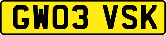 GW03VSK
