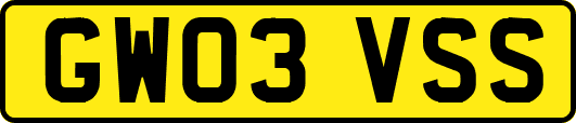 GW03VSS