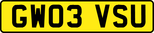 GW03VSU