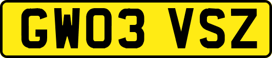 GW03VSZ