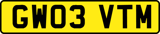 GW03VTM