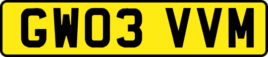 GW03VVM