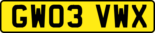 GW03VWX