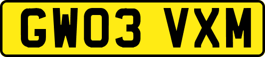 GW03VXM