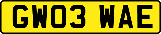 GW03WAE