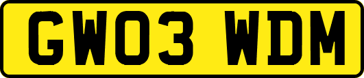 GW03WDM