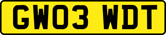 GW03WDT