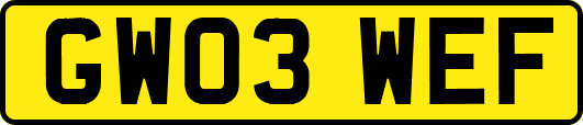 GW03WEF