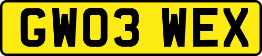 GW03WEX