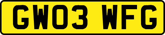 GW03WFG