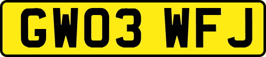 GW03WFJ