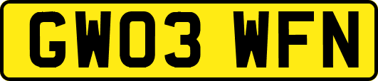 GW03WFN