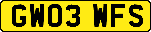 GW03WFS
