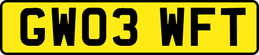 GW03WFT