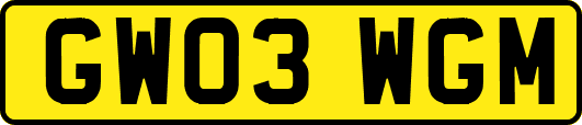 GW03WGM