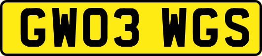 GW03WGS