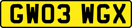 GW03WGX